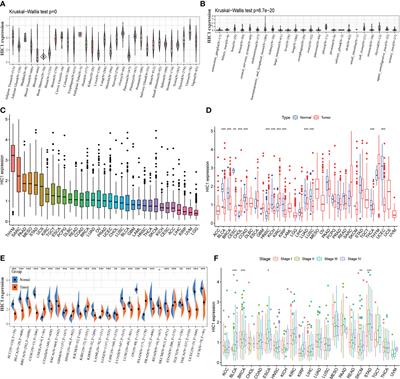 Ferroptosis-related gene HIC1 in the prediction of the prognosis and immunotherapeutic efficacy with immunological activity